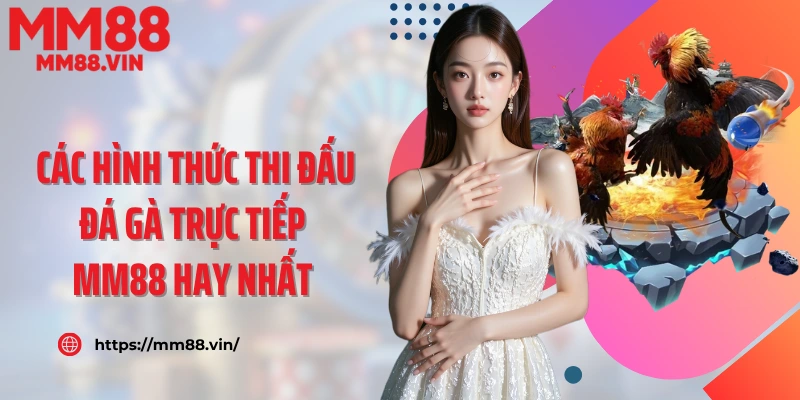Các hình thức thi đấu đá gà trực tiếp MM88 hay nhất 